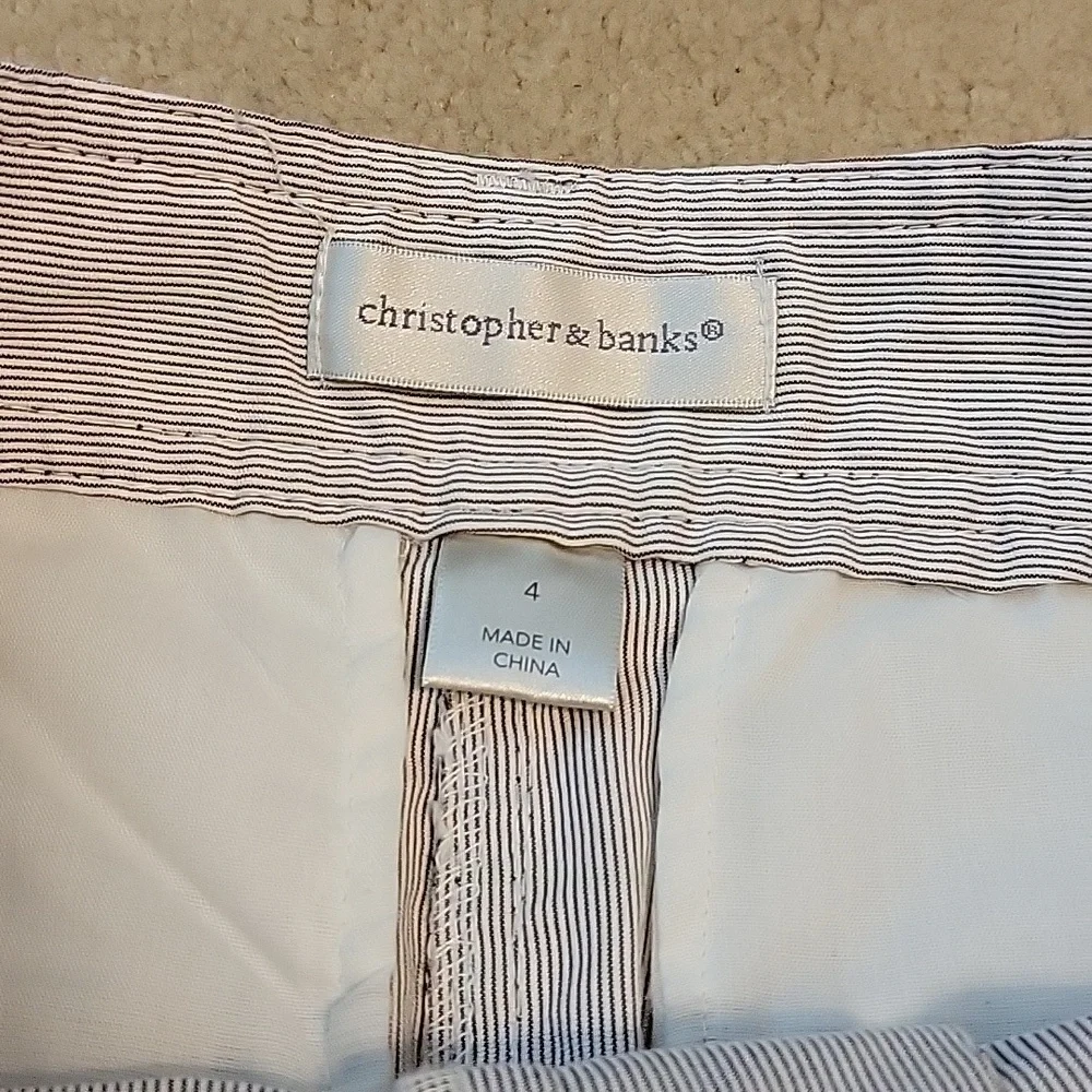 Christopher & Banks Skirt Pin Stripe Gray White Size 4